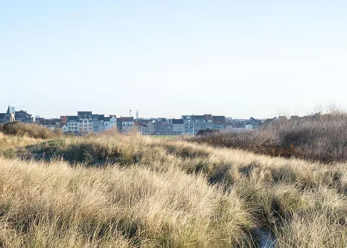 With Side Sea View Raversijde By Lets Go Getaways Lejlighed *